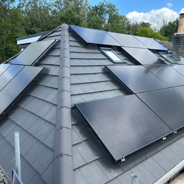 481467788_645519358024979_9183042213836197719_n